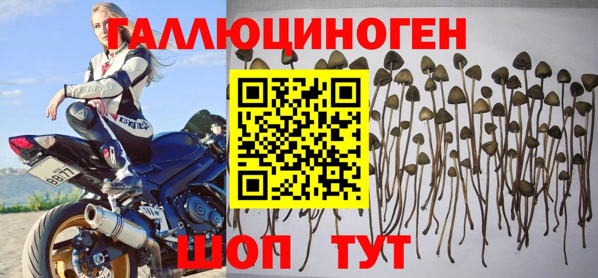 Галлюциногенные грибы Magic Shrooms  Вход с VPN  Комсомольск-на-Амуре 